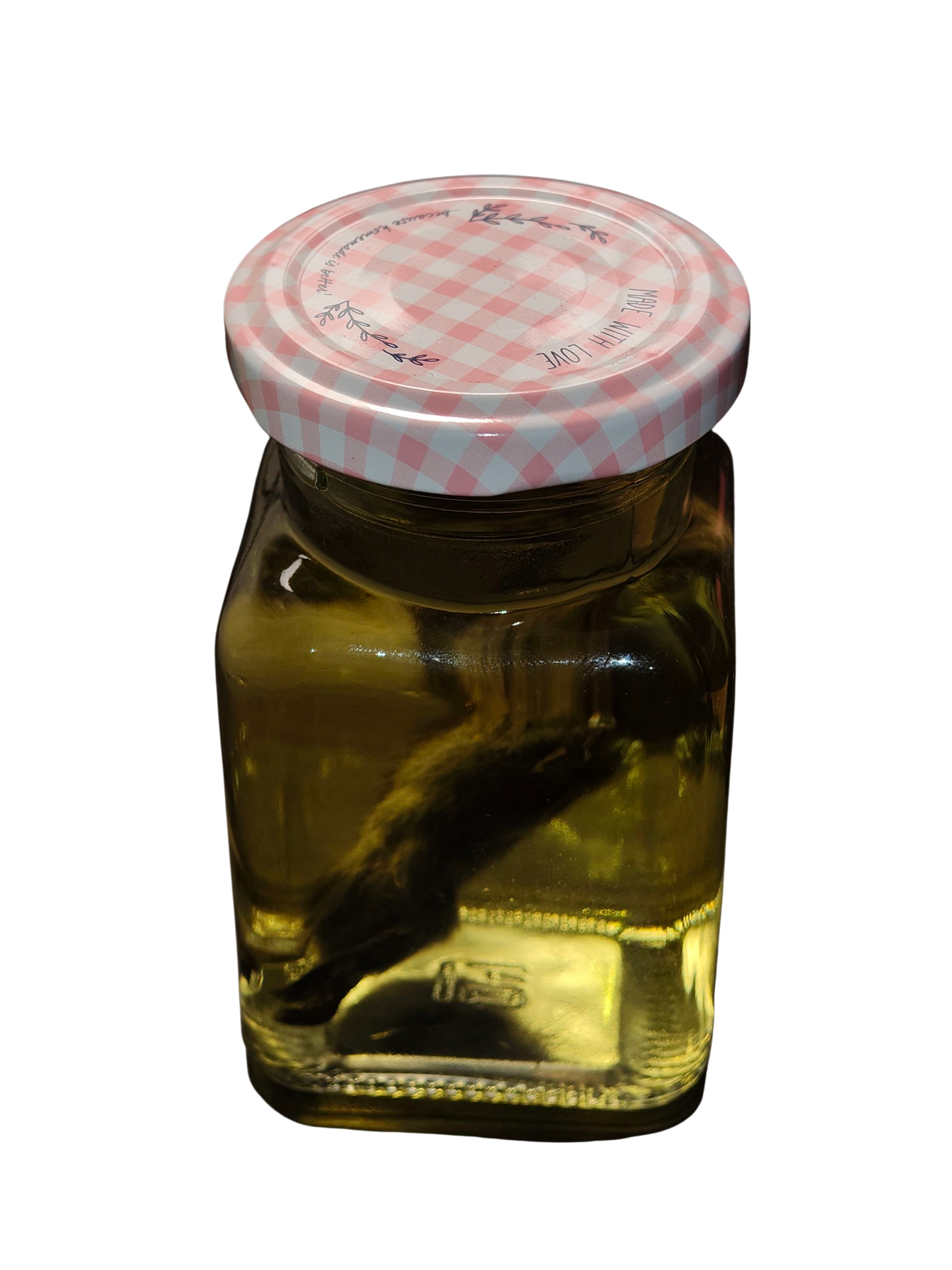 Preserved wild mouse