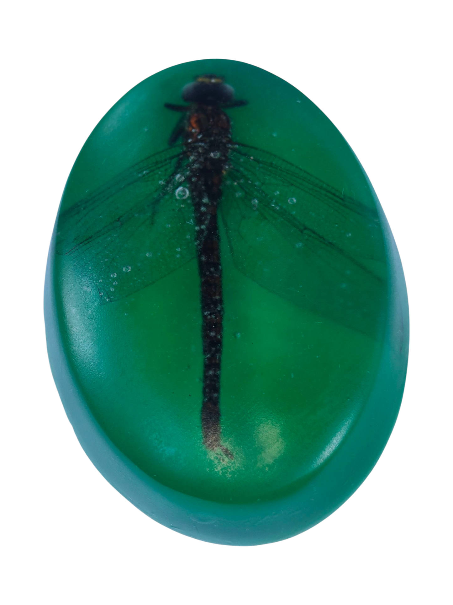 Hawker Dragonfly